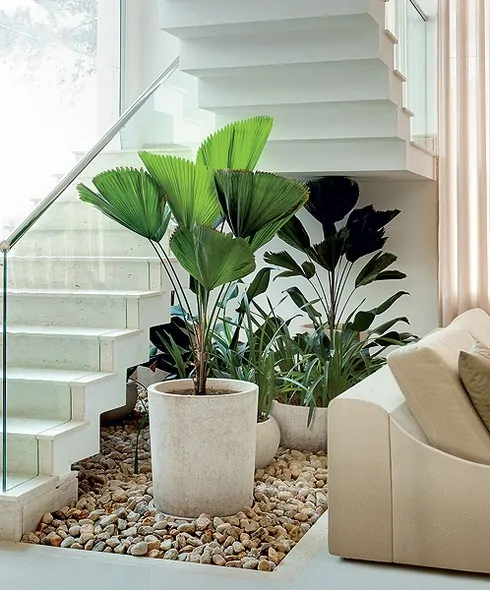 vasos de plantas embaixo da escada