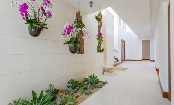 Vasos suspensos com duas espécies de orquídeas, na área coberta e externa da casa