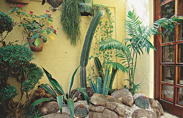 como ter plantas no jardim de inverno