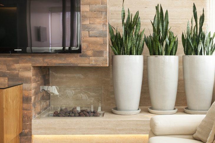 como ter plantas no apartamento
